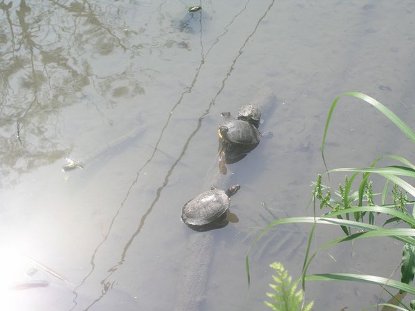 OLYMPUS DIGITAL CAMERA         