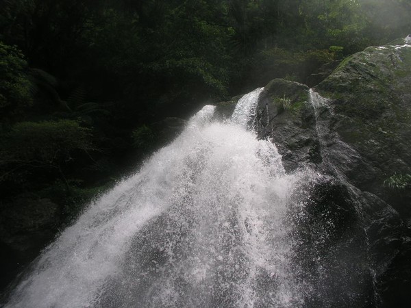 OLYMPUS DIGITAL CAMERA         