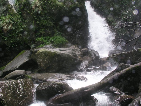 OLYMPUS DIGITAL CAMERA         