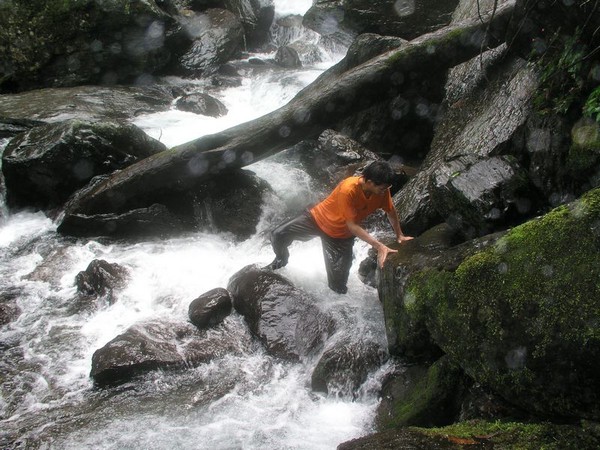 OLYMPUS DIGITAL CAMERA         