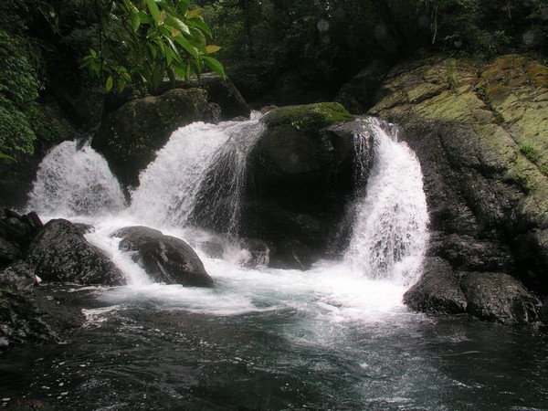 OLYMPUS DIGITAL CAMERA         