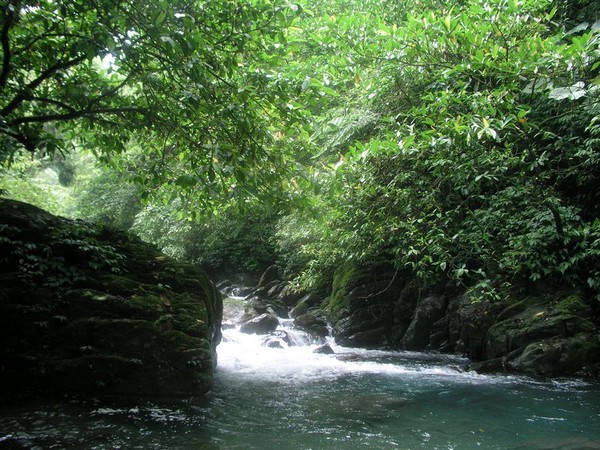 OLYMPUS DIGITAL CAMERA         