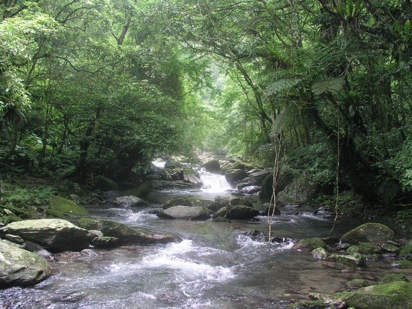 OLYMPUS DIGITAL CAMERA         