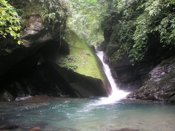 OLYMPUS DIGITAL CAMERA         