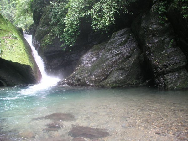 OLYMPUS DIGITAL CAMERA         