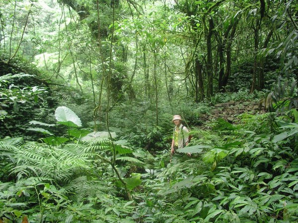 OLYMPUS DIGITAL CAMERA         